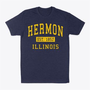 Hermon Illinois Classic Established Classic Dad T-Shirt