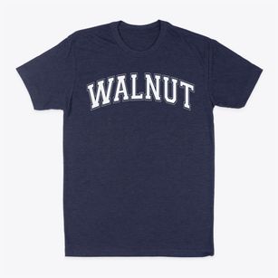 Walnut Elementary School Varsity Arch Classic Dad T-Shirt