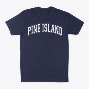 Pine Island Elementary School Varsity Arch Classic Dad T-Shirt