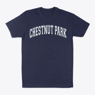 Chestnut Park School Varsity Arch Classic Dad T-Shirt