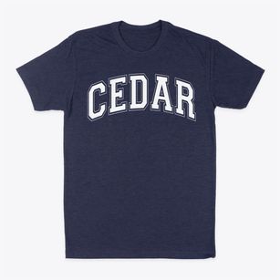 Cedar Elementary School Varsity Arch Classic Dad T-Shirt