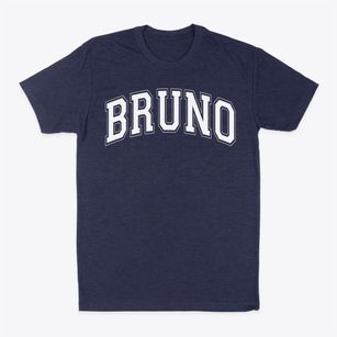 Bruno Public School Varsity Arch Classic Dad T-Shirt