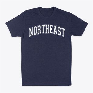 Northeast Academy For Aerospace And Advanced Tech Varsity Arch Classic Dad T-Shirt