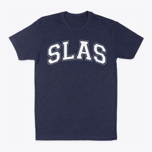 School Of Liberal Arts & Science Varsity Arch Classic Dad T-Shirt