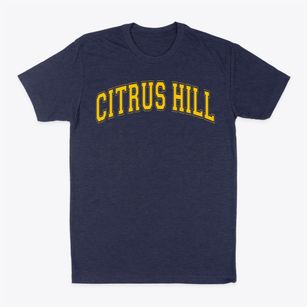 Citrus Hill High School Varsity Arch Classic Dad T-Shirt