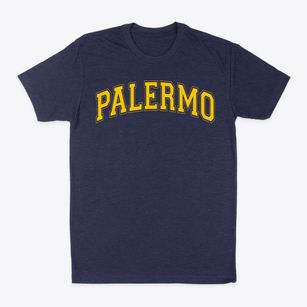 Palermo Consolidated Elementary School Varsity Arch Classic Dad T-Shirt