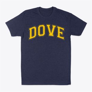 Dove Academy Varsity Arch Classic Dad T-Shirt