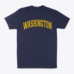 Washington Elementary School Varsity Arch Classic Dad T-Shirt