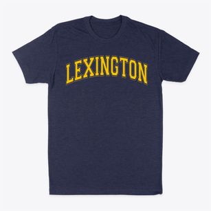 Lexington Elementary School Varsity Arch Classic Dad T-Shirt