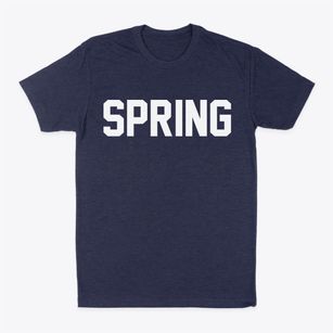 Spring Texas Classic Block Classic Dad T-Shirt