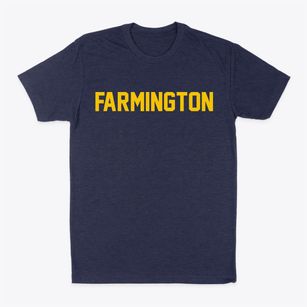 Farmington New Mexico Classic Block Classic Dad T-Shirt