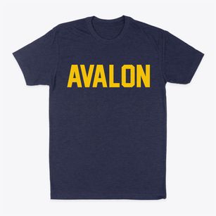 Avalon New Jersey Classic Block Classic Dad T-Shirt