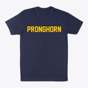 Pronghorn Oregon Classic Block Classic Dad T-Shirt
