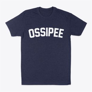 Ossipee New Hampshire Classic Curve Classic Dad T-Shirt
