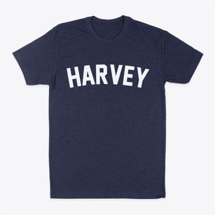Harvey Michigan Classic Curve Classic Dad T-Shirt