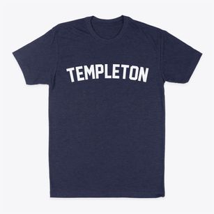 Templeton Virginia Classic Curve Classic Dad T-Shirt