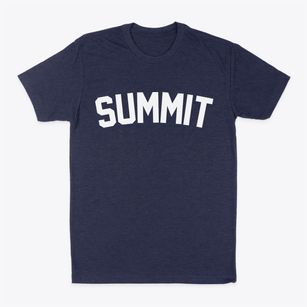 Summit South Carolina Classic Curve Classic Dad T-Shirt