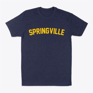 Springville New York Classic Curve Classic Dad T-Shirt