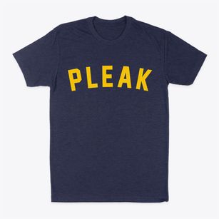Pleak Texas Classic Curve Classic Dad T-Shirt