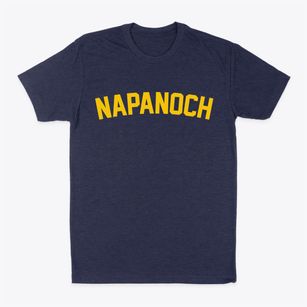 Napanoch New York Classic Curve Classic Dad T-Shirt