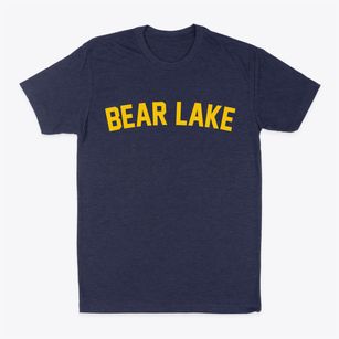 Bear Lake Wisconsin Classic Curve Classic Dad T-Shirt