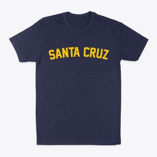 Santa Cruz California Classic Curve Classic Dad T-Shirt