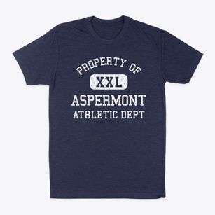 Aspermont Texas Athletic Dept Classic Dad T-Shirt