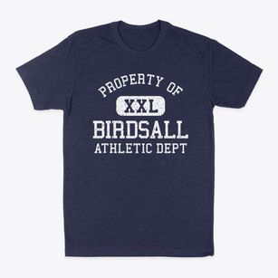 Birdsall New York Athletic Dept Classic Dad T-Shirt