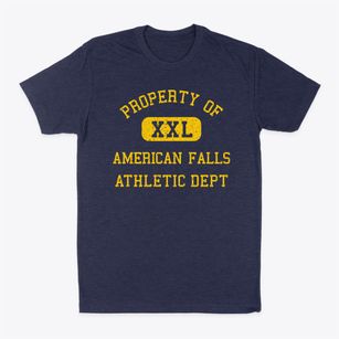 American Falls Idaho Athletic Dept Classic Dad T-Shirt