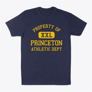 Princeton Illinois Athletic Dept Classic Dad T-Shirt