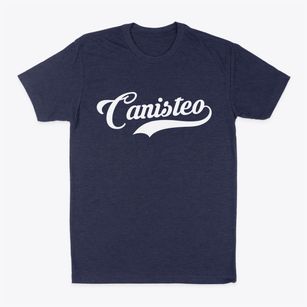 Canisteo New York Vintage Team Classic Dad T-Shirt