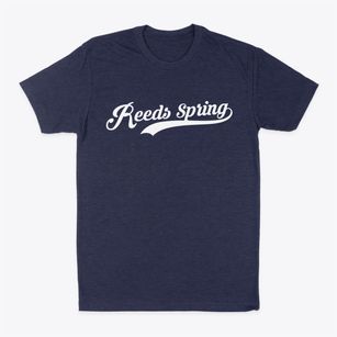 Reeds Spring Missouri Vintage Team Classic Dad T-Shirt