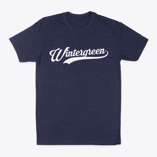 Wintergreen Virginia Vintage Team Classic Dad T-Shirt