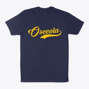 Osceola Iowa Vintage Team Classic Dad T-Shirt