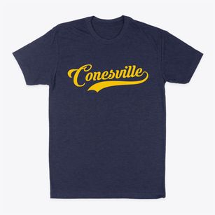 Conesville New York Vintage Team Classic Dad T-Shirt
