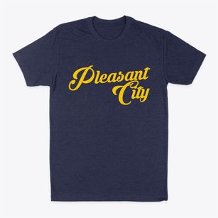 Pleasant City Ohio Vintage Team Classic Dad T-Shirt