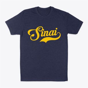 Sinai South Dakota Vintage Team Classic Dad T-Shirt