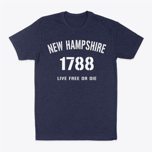  New Hampshire Established Classic Dad T-Shirt