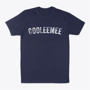 Cooleemee North Carolina Timeless Retro Classic Dad T-Shirt