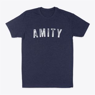 Amity Missouri Timeless Retro Classic Dad T-Shirt