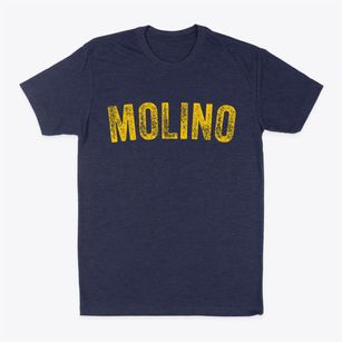 Molino Florida Timeless Retro Classic Dad T-Shirt