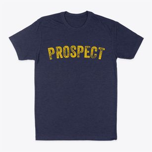 Prospect Ohio Timeless Retro Classic Dad T-Shirt