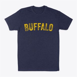 Buffalo Illinois Timeless Retro Classic Dad T-Shirt