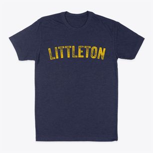 Littleton Illinois Timeless Retro Classic Dad T-Shirt