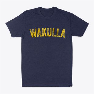 Wakulla North Carolina Timeless Retro Classic Dad T-Shirt