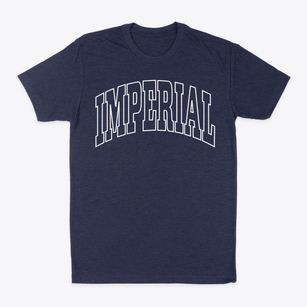 Imperial Nebraska Trendy Block Classic Dad T-Shirt