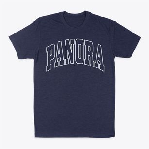 Panora Iowa Trendy Block Classic Dad T-Shirt