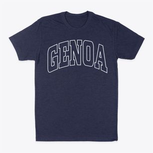 Genoa Colorado Trendy Block Classic Dad T-Shirt