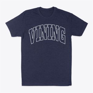 Vining Minnesota Trendy Block Classic Dad T-Shirt