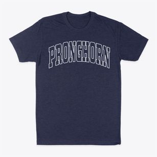 Pronghorn Oregon Trendy Block Classic Dad T-Shirt